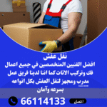 Blue and White Simple Packers and Movers Company Services Promotion Instagram Post (3)
